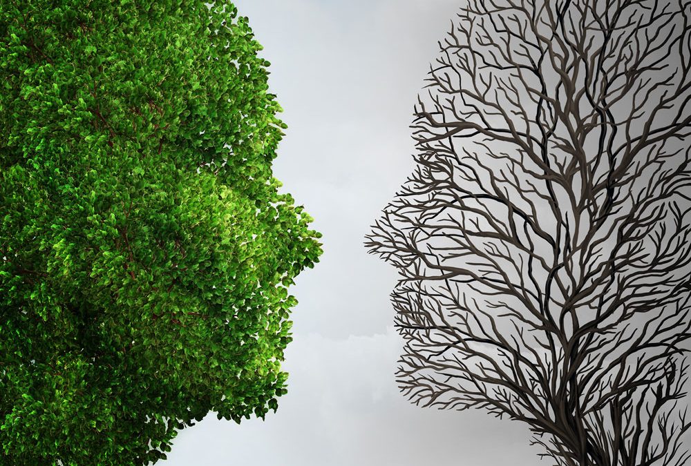 Trauma and Neurobiology: The Mind, Brain, Body Connection