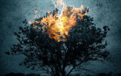 Trauma and Character