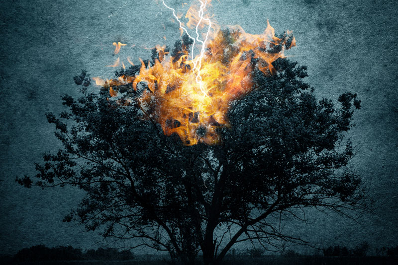 Trauma and Character